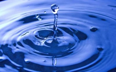 L’importanza dell’acqua